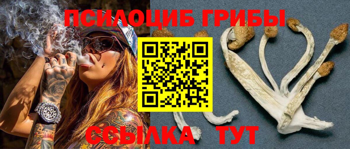 Псилоцибиновые грибы Magic Shrooms  Вход с VPN  Кыштым 