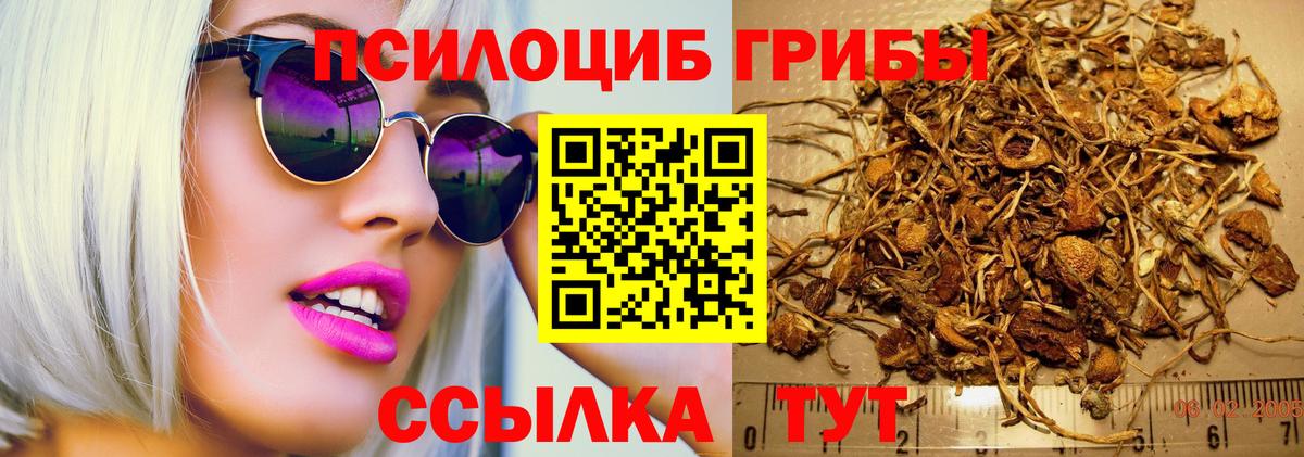 Галлюциногенные грибы мицелий Кыштым